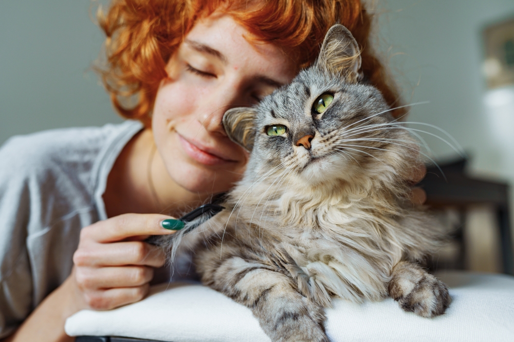 A woman with red hair smiling while brushing a fluffy grey cat that looks content - veterinarian