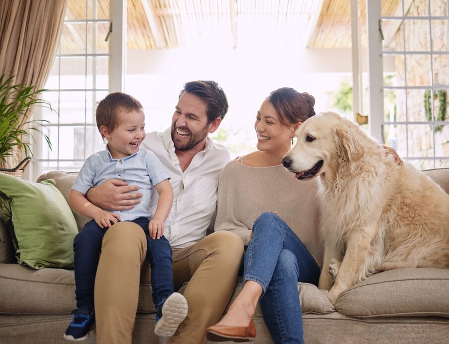 A cheerful family sits together on the couch with their Golden Retriever, enjoying a joyful and relaxing moment at home. - veterinarian
